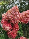 357_big (1)